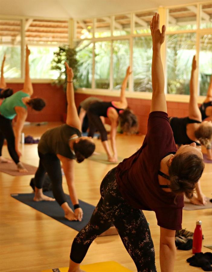 Elevating Vinyasa Yoga Practice-min